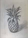 Charcoal Sketch
